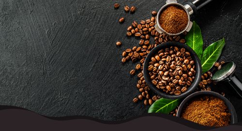 Coffee Glossary - The Ultimate Guide To Coffee Terminology