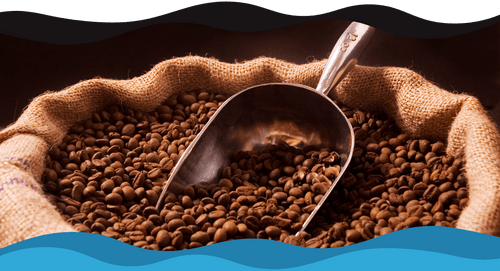 Coffee Beans FAQs: An Expert Guide To Coffee Beans