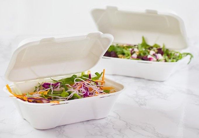 Bagasse Biodegradable Food Container - Clam Shell Deli Boxes x 50